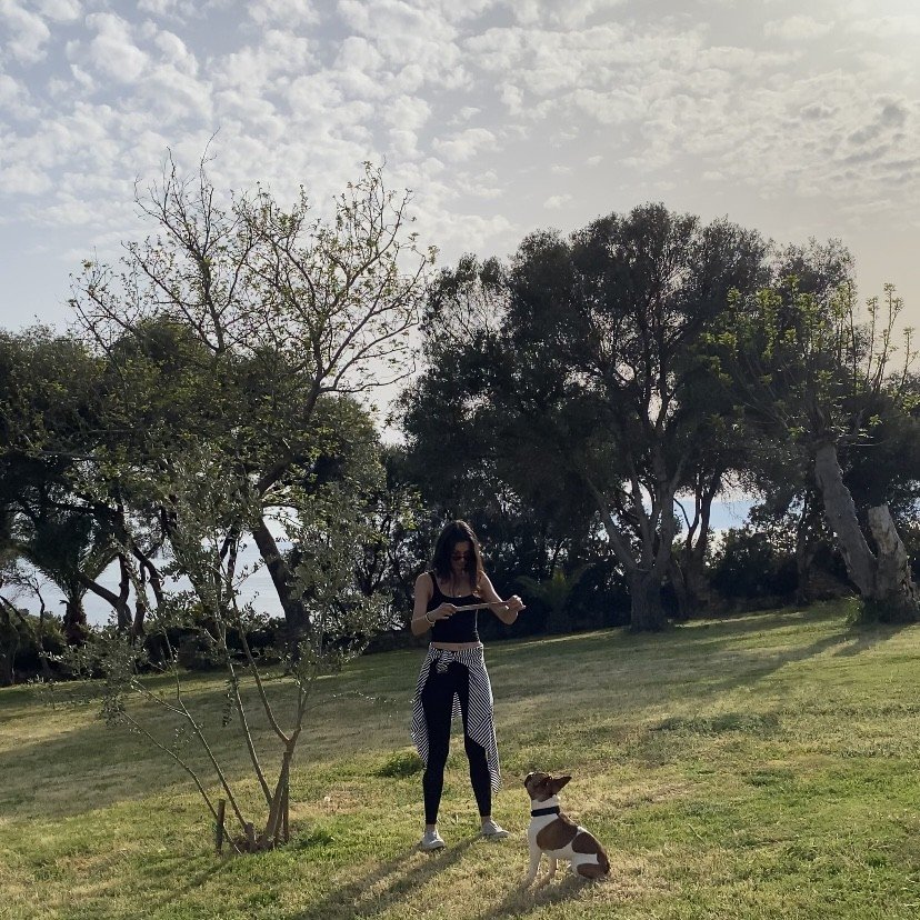 Köpeklerle Yaşam Atölyesi 