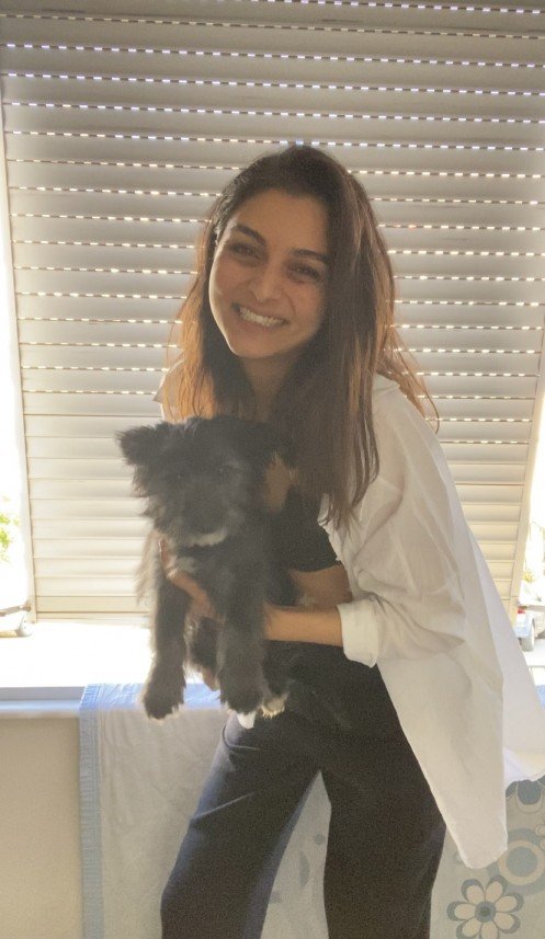 Köpeklerle Yaşam Atölyesi 