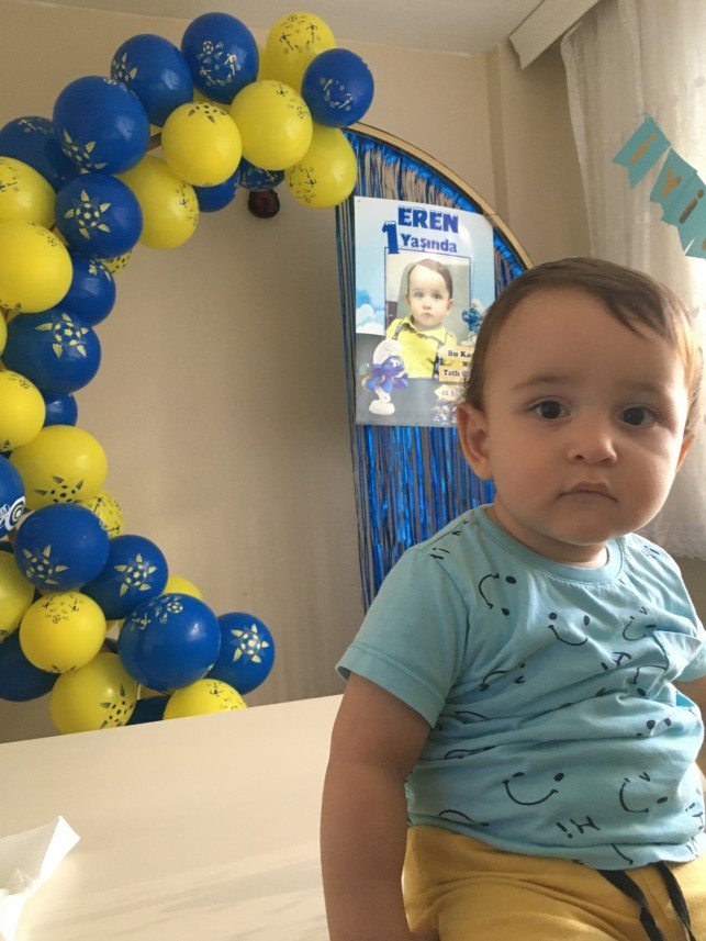 Kuzey Organizasyon Pendik