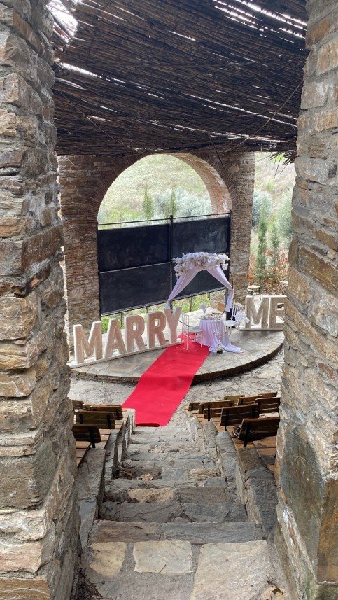 Lavinya Organizasyon Tasarım