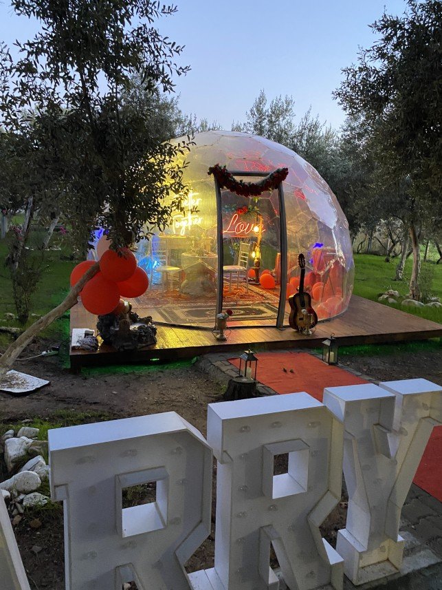 Lavinya Organizasyon Tasarım