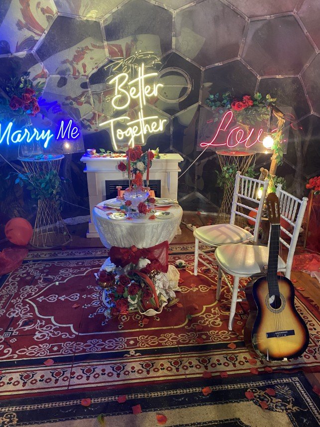 Lavinya Organizasyon Tasarım