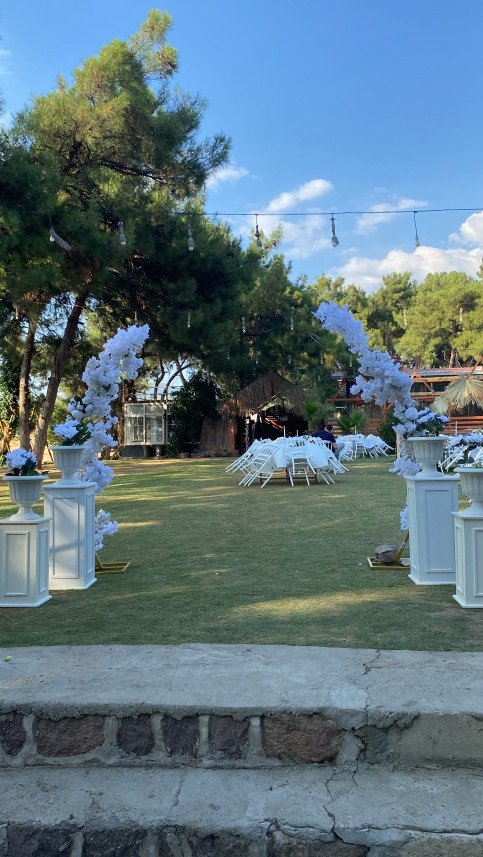 Lavinya Organizasyon Tasarım