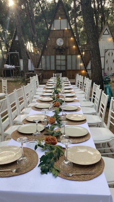 Lavinya Organizasyon Tasarım