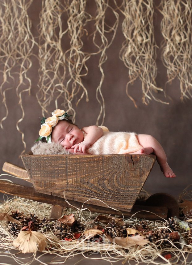 İlk Nefes Fotoğrafçılık