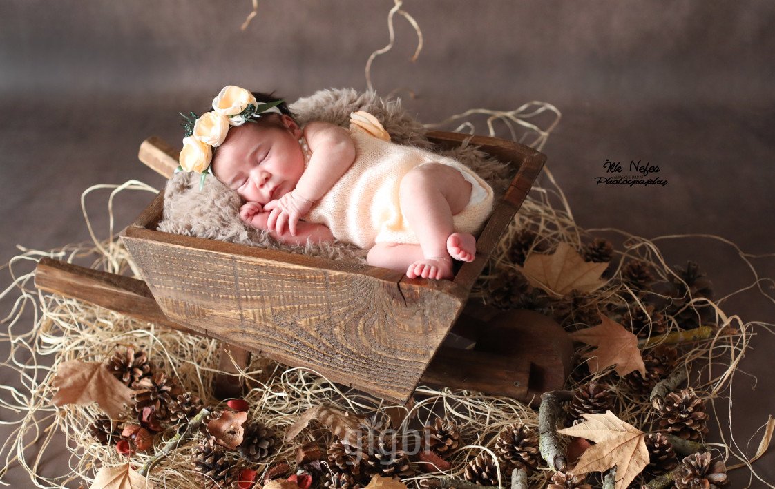 İlk Nefes Fotoğrafçılık