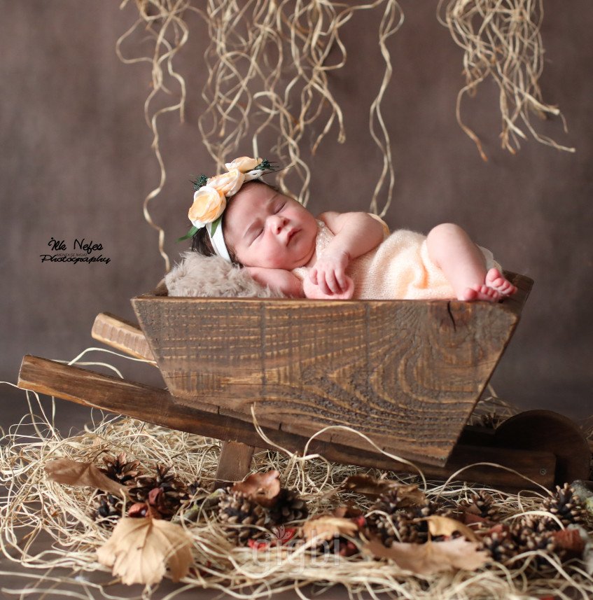 İlk Nefes Fotoğrafçılık