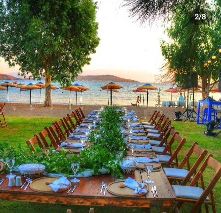 Loving Event Wedding