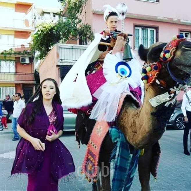 Manolya Organizasyon