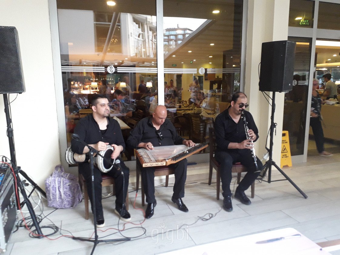 Manolya Organizasyon