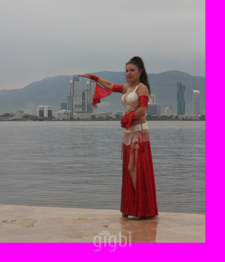 Manolya Organizasyon