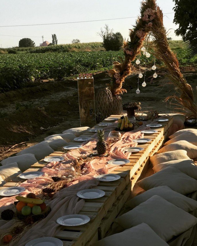 Masal Diyarı Organizasyon