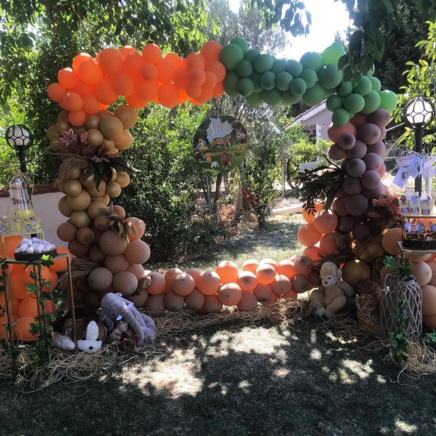 Masal Diyarı Organizasyon