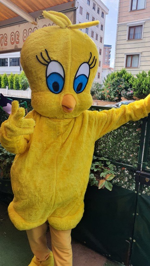 Jülide Işık