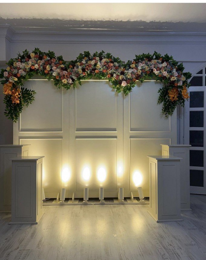 Mavi Ay Organizasyon