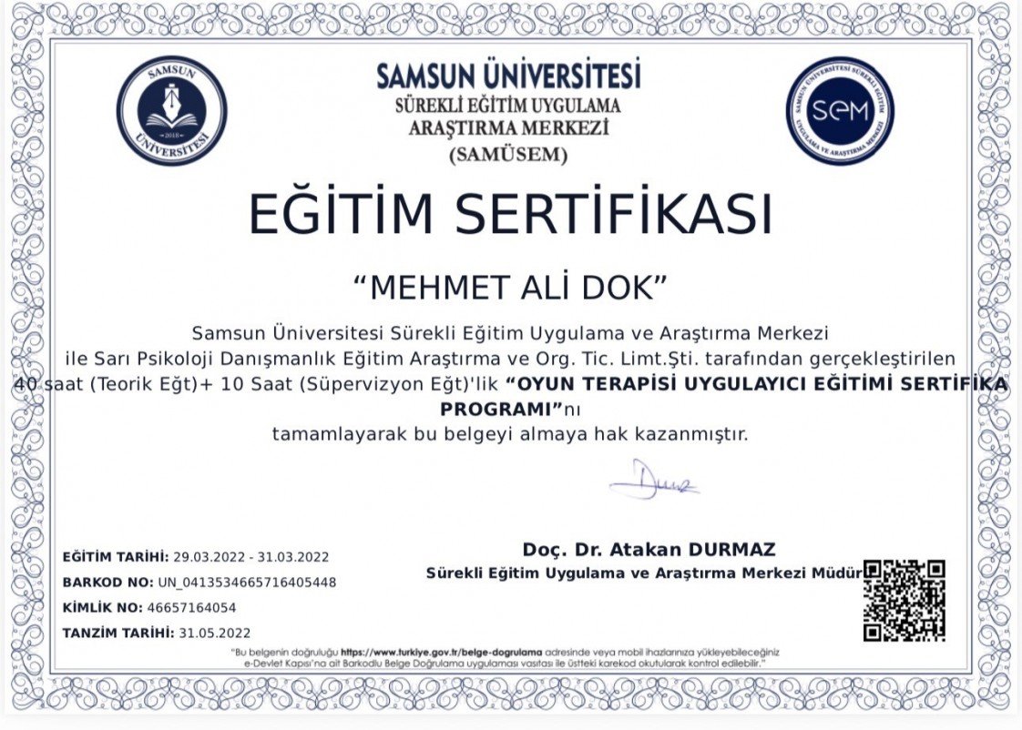 Mehmet Ali Dok