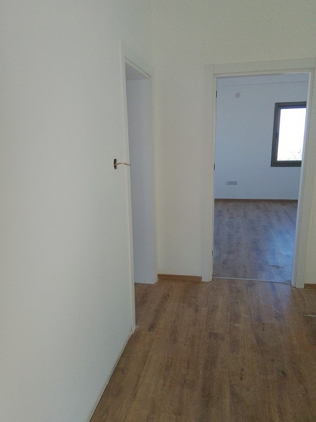 Mehmet Ali Şengezer