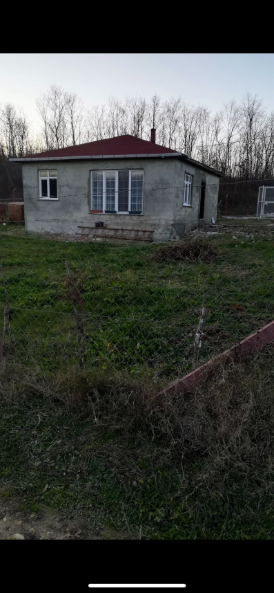 Mehmet Emin Çetintaş