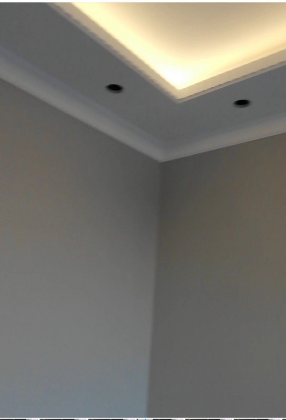 Mehmet Fatih  Yıldız