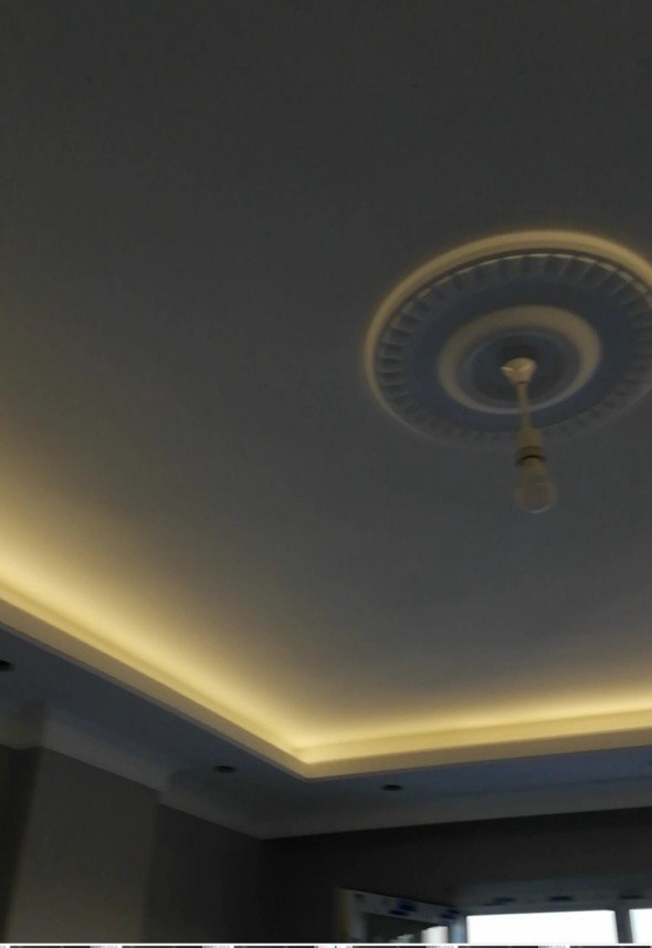 Mehmet Fatih  Yıldız