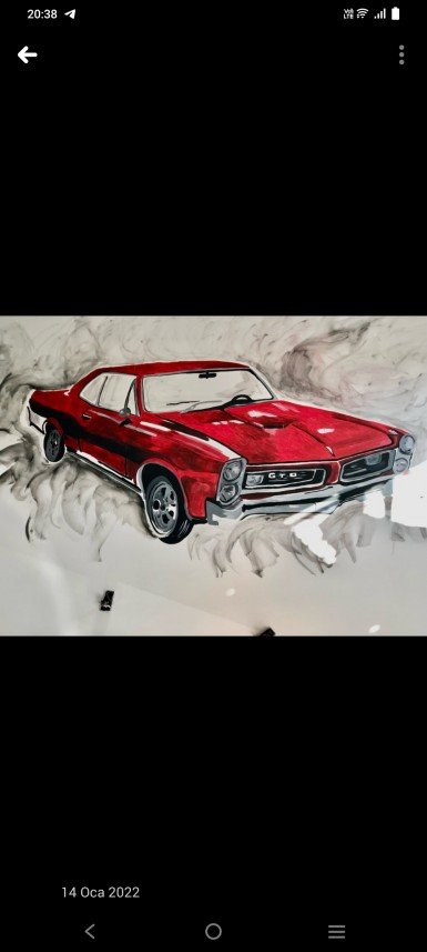 Mehmet Volkan Biberci 