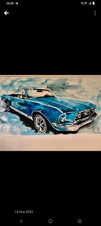 Mehmet Volkan Biberci 