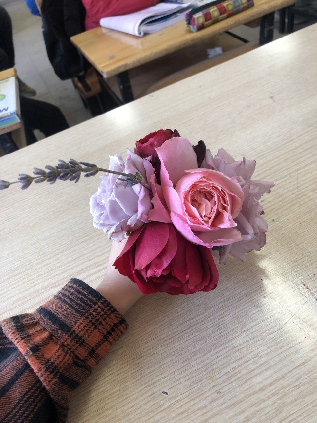 Melahat Sevde Dalgıçoğlu