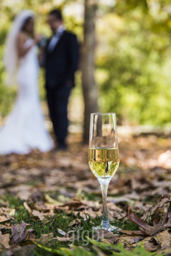 Melekgül Fotoğrafçılık