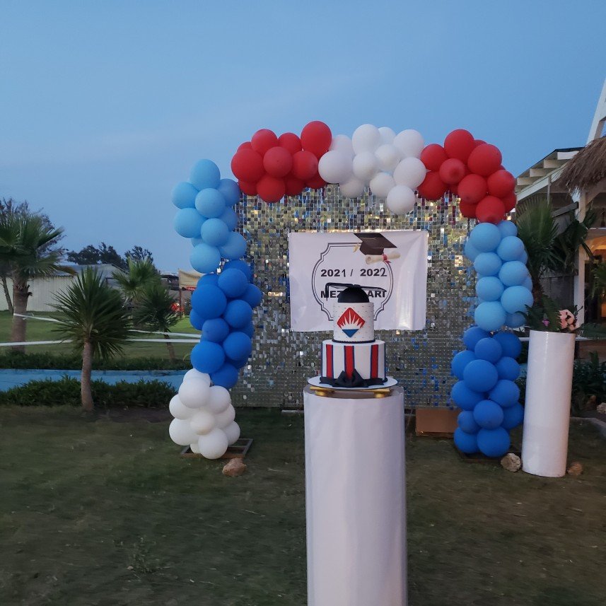 Mels Parti Organizasyon