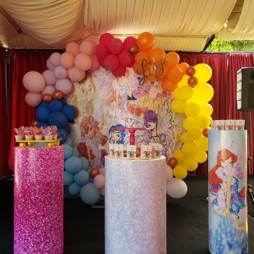 Mels Parti Organizasyon