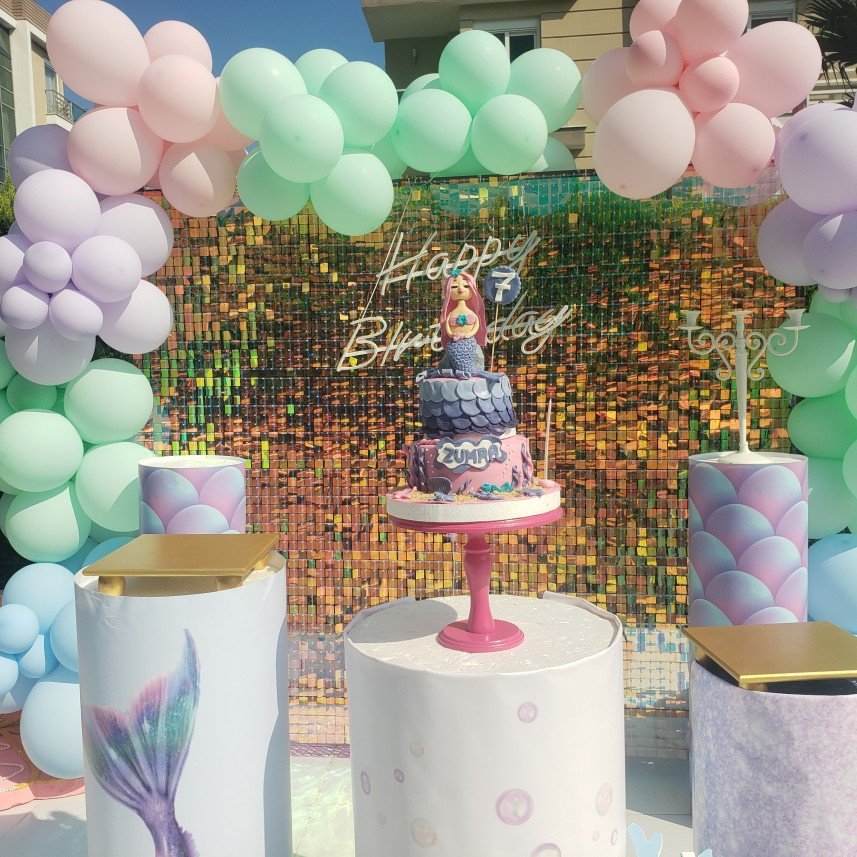 Mels Parti Organizasyon