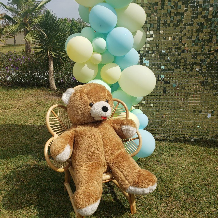 Mels Parti Organizasyon