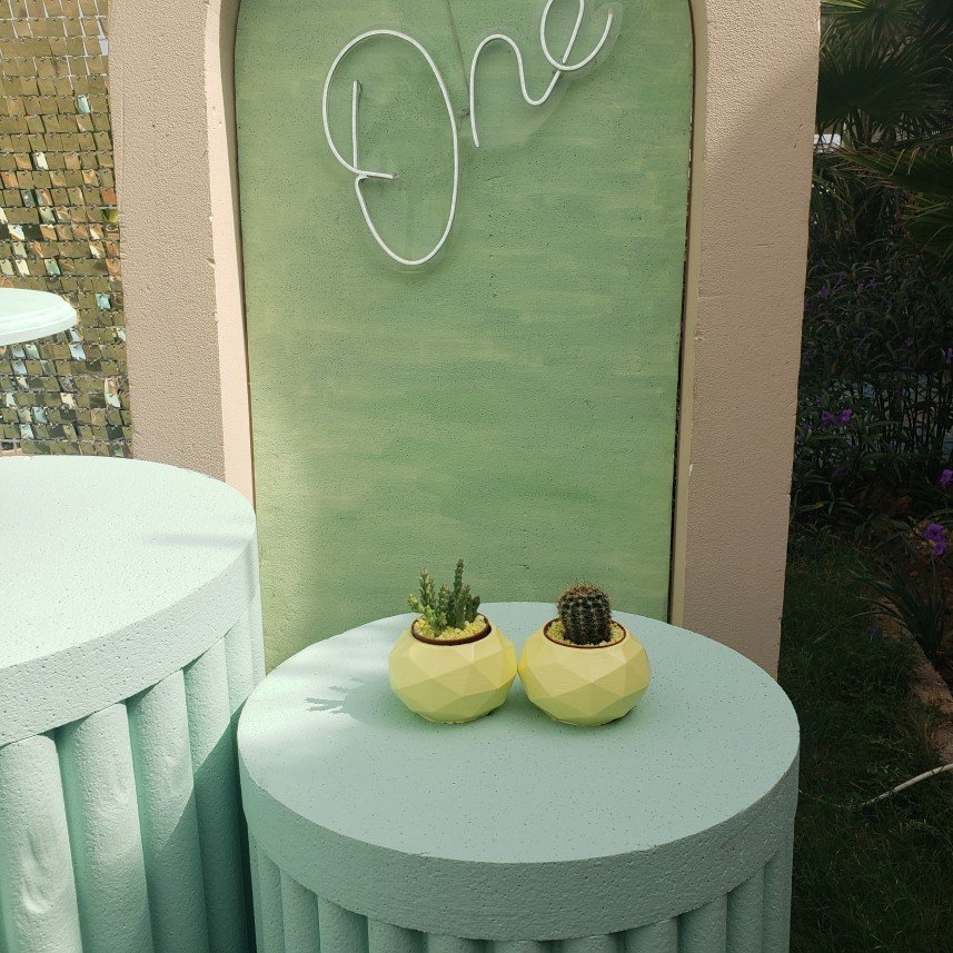 Mels Parti Organizasyon