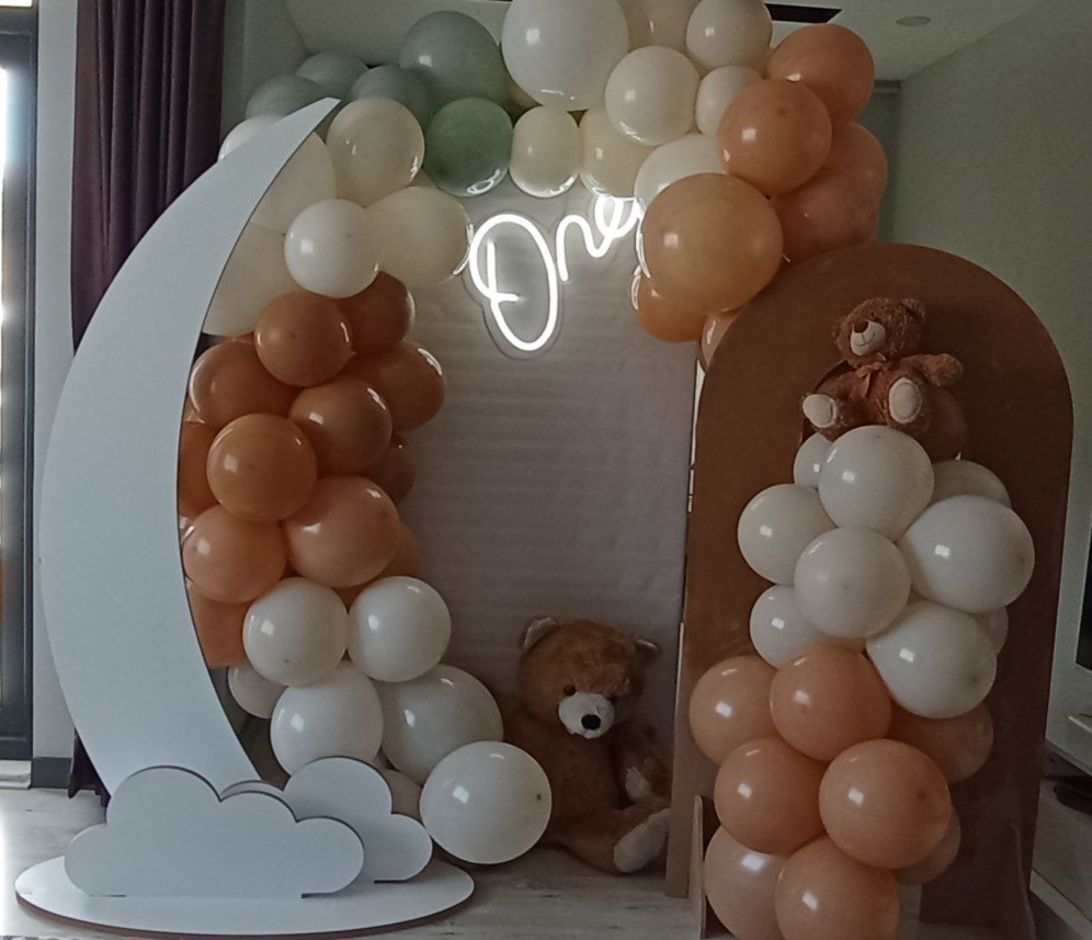 Mels Parti Organizasyon