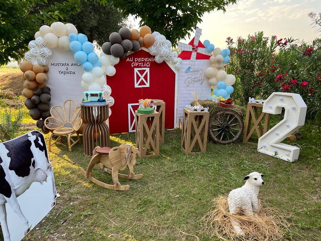 Mels Parti Organizasyon