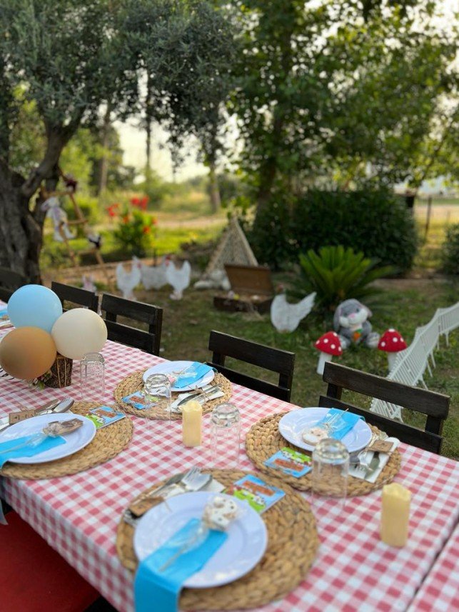 Mels Parti Organizasyon