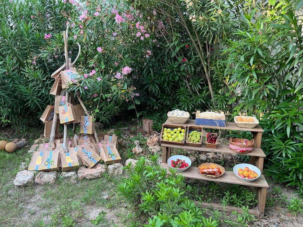 Mels Parti Organizasyon