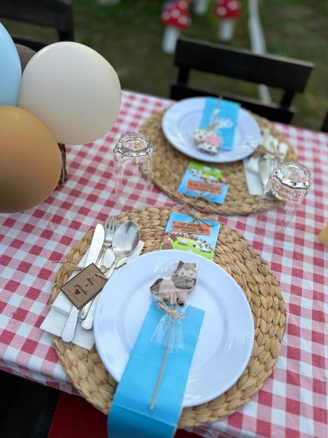 Mels Parti Organizasyon