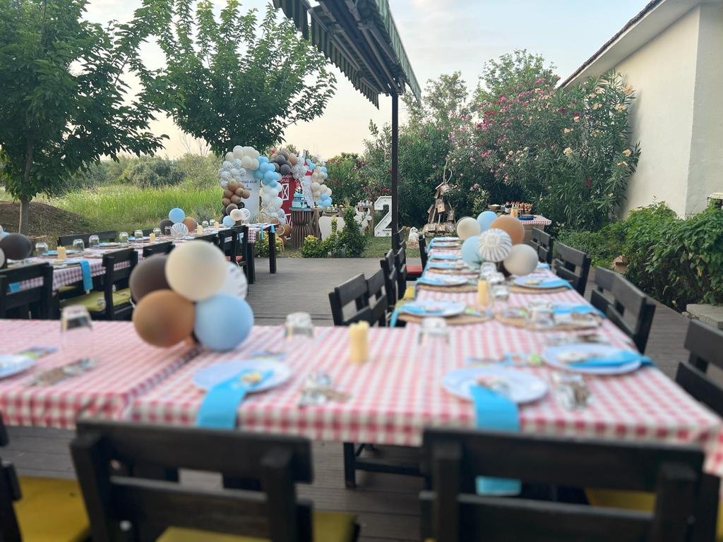 Mels Parti Organizasyon