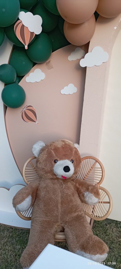 Mels Parti Organizasyon