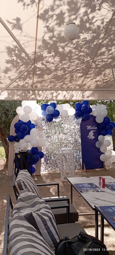 Mels Parti Organizasyon