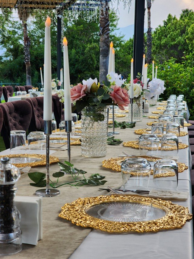 Mels Parti Organizasyon