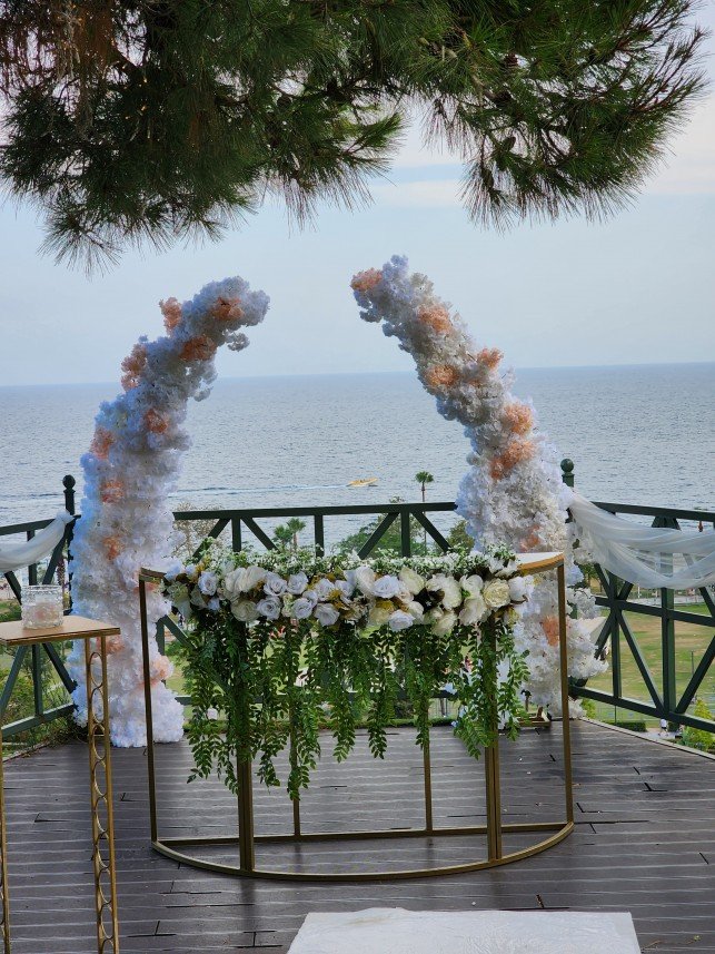 Mels Parti Organizasyon