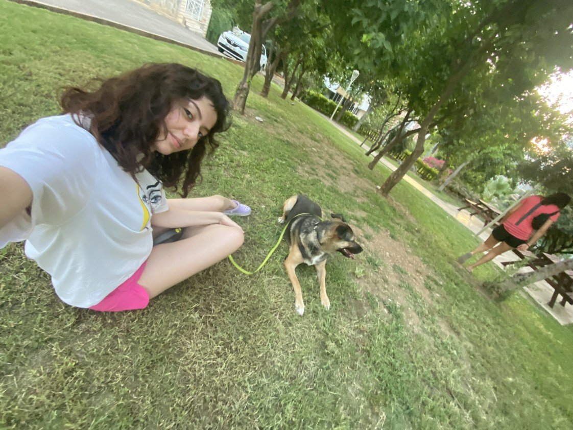 menekşe begüm doğan