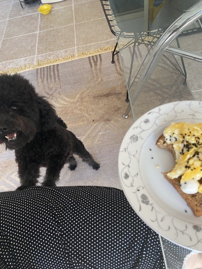 menekşe begüm doğan