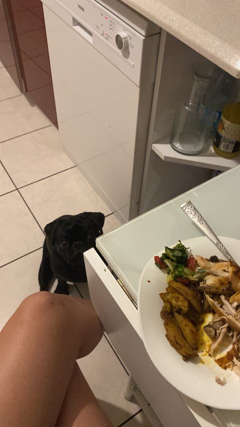 menekşe begüm doğan