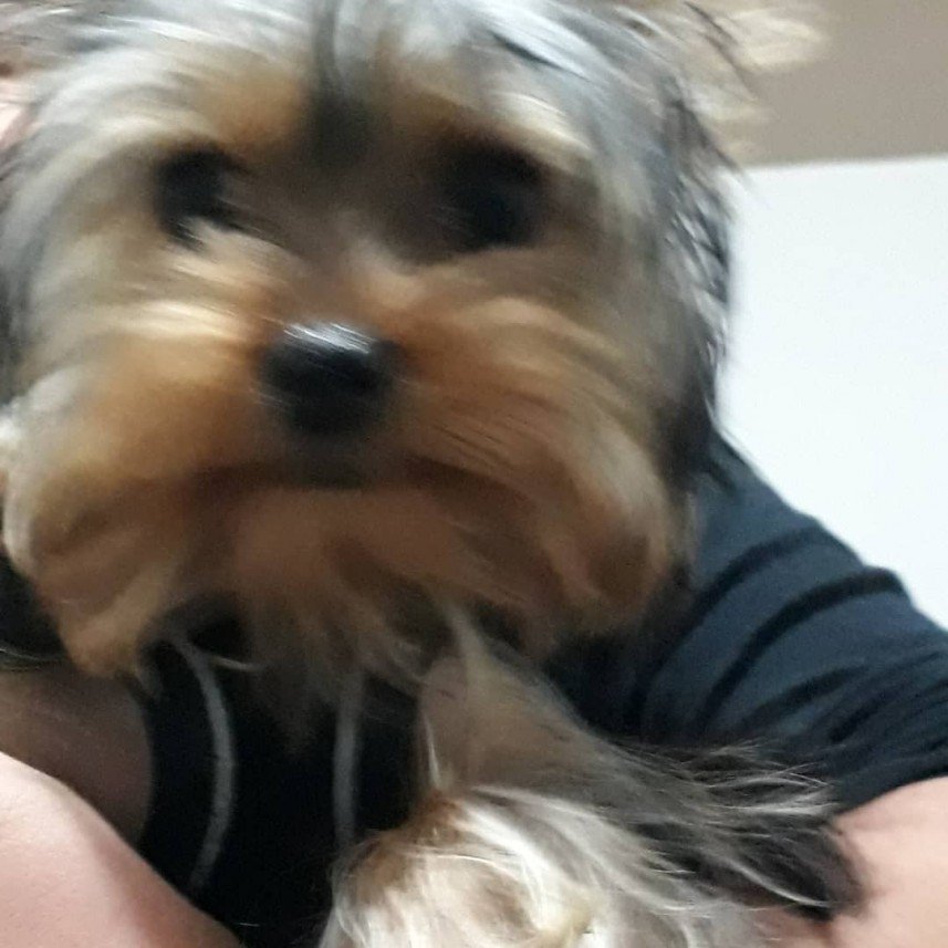 Mersin Pati Pansiyon 