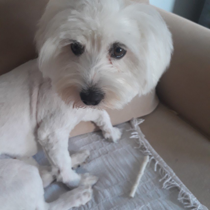 Mersin Pati Pansiyon 