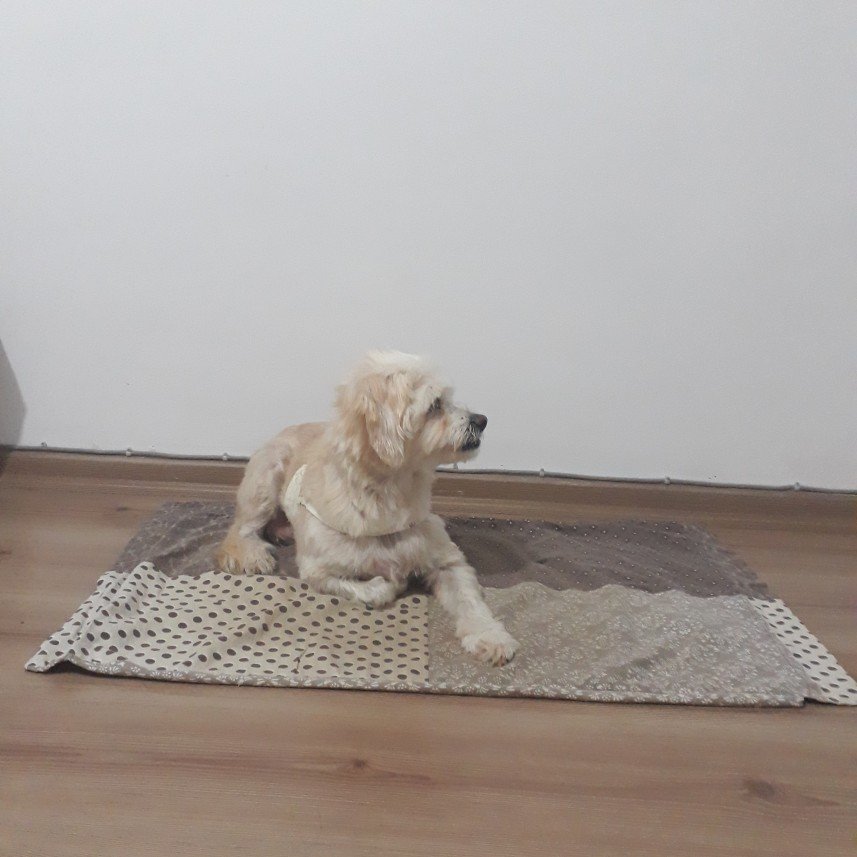 Mersin Pati Pansiyon 