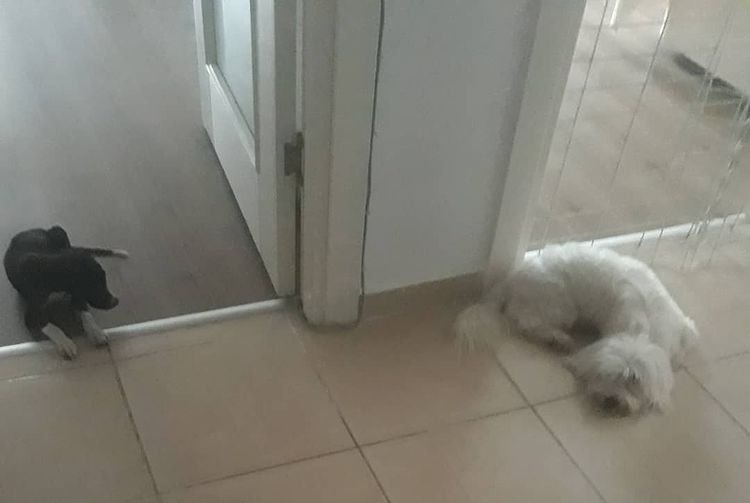 Mersin Pati Pansiyon 